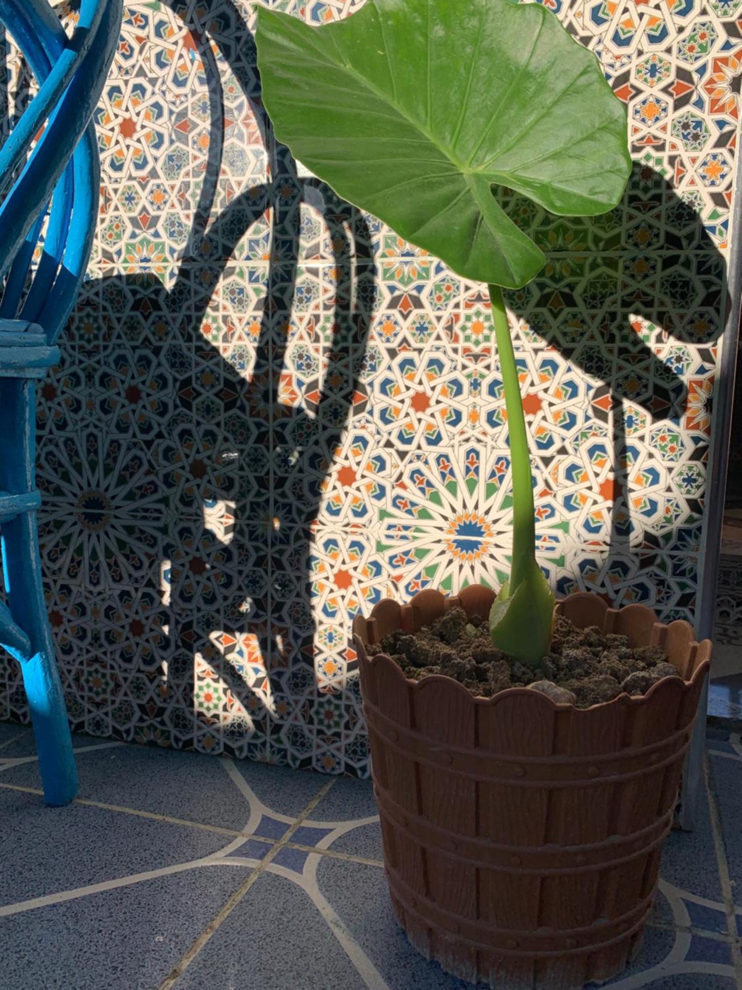 Beach House Asilah Εξωτερικό φωτογραφία